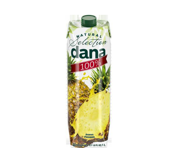 SUCCO ANANAS 100%  L.1